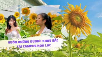 Màu be Cổ điển Nữ tính Sắc đẹp Trang web